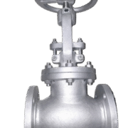 Globe Valves